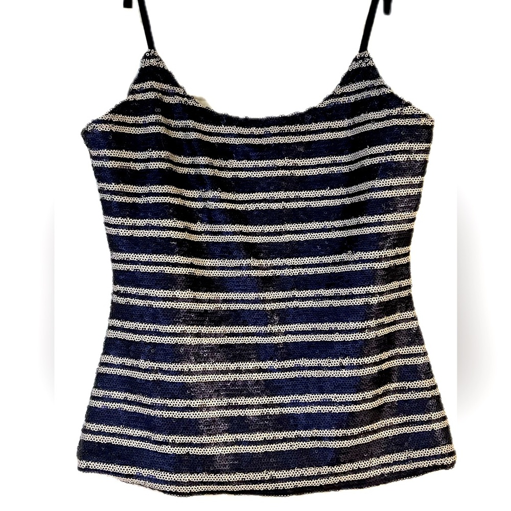 Olivaceous Sequined Striped Top
